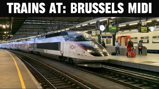 Trains at Brussels Midi. *SNCB, SNCF, Eurostar/Thalys, NS and European Sleeper* 31/05/24