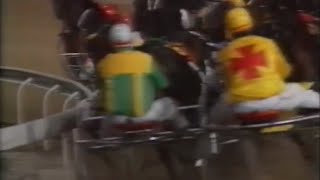 Harness Racing,Harold Park-1994 Inter-Dominion Night