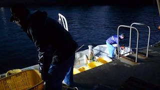 大船渡　観光　わかめ　ワカメ　大船渡温泉　味三陸ゆたか屋　三陸　岩手