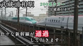 ＪＲ武蔵浦和駅を色々な新幹線が通過して行きます…懐かしい２００系カラーも通過…この駅は何時間撮影していても楽しいですね…