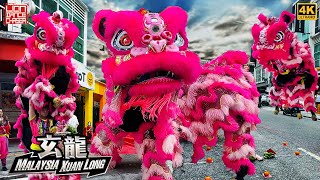 Lion Dance by Malaysia Xuan Long 马来西亚玄龙 @ Sri Petaling 粉红双狮 开张贺庆 舞狮採青 民间传统 表演艺术 鼓乐伴奏