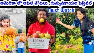 Apple Festival Vlog | Pumpkin Land | Pick your own | Beer Garden | Telugu USA Vlogs | Orchards