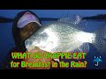 WHAT DO CRAPPIE EAT in the Rain? Early Morning CRAPPIES Fishing Crappie Town USA Baby