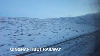 นั่งรถไฟไปทิเบต l Qinghai Tibet Railway l shorts clip 01