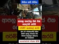 බස් වලට වෙනම නීතියක් නෑනෙ🤣🤣🤣 news