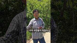 유기농 사과 명인의 신념