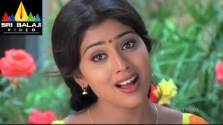 Nenunnanu Movie Shriya Devotional Song Learning Scene | Nagarjuna, Aarti | Sri Balaji Video