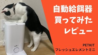 【PETKIT】ねこの自動給餌器使ってみたレビュー