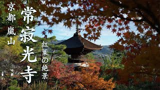 京都 嵐山 | 常寂光寺 | 2024年 本堂・書院内部特別拝観のお知らせ | 期日：2024年11月16日(土)〜27日(水) | 京都紅葉スポット🍁