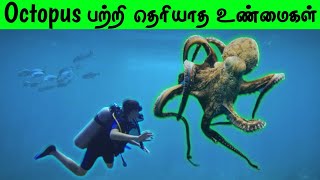 (OCTOPUS)பற்றி தெரியாத உண்மைகள்🐙 Octopus FactsTamil🦑Crazy Roaster 😱Octopoda Facts✨ Interesting Facts