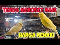 TRUS MEROKET NAIK HARGA KENARI #kenari #kenarigacor #kenarimania #kenariyorkshire