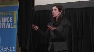 Natasha Schull: CSF Big Ideas 2014 (11/11)