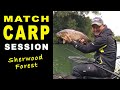 MATCH CARP Session on Pellet Waggler & Pole Tactics - Match Fishing July 2020