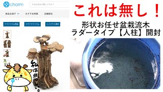 形状お任せ盆栽流木ラダータイプが酷かった･･･【アクアリウム】