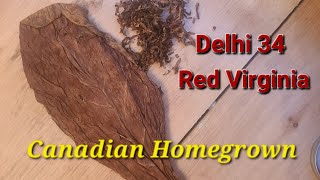 Homegrown Canadian Red Virginia - Tasting Notes