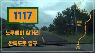 [아름다운 국도담기] 제주 1117번 지방도 / 노루생이 삼거리 ~ 산록도로 입구