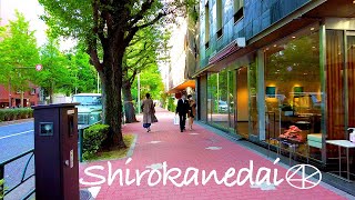 【東京散歩】白金台プラチナ通り 4K Shirokanedai Platinum Street