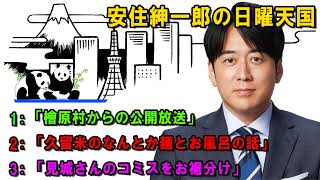 安住紳一郎の日曜天国   ☀️「ドゥワイアンヌ・デュ・コミス」  🔴  出演者 :  安住紳一郎（TBSアナウンサー） / 中澤有美子