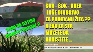 ŠOK - UREA je loša za prihranu pšenice -GREŠITE GODINAMA U NAČINU prihrane - evo šta kaže DOKTOR