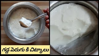 కమ్మని గడ్డ పెరుగు తయారీ కి చిట్కాలు | How to Prepare Curd in Telugu | Thick Curd preparation Tips