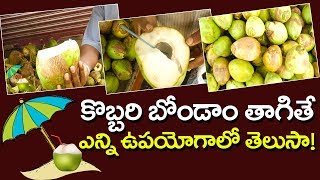 Coconut Water Healthy Drink | కొబ్బ‌రిబొండం జీవ‌న ర‌హ‌స్యాలు