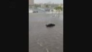 Hurricane Ian swamps southwest Florida