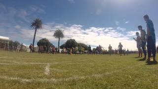 Napier Boys' High School Athletics 2014