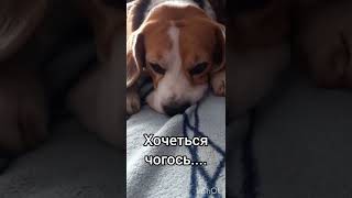 Чогось хочеться...