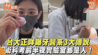 台大正咩曝牙醫系3大傳說　術科考前半夜實驗室都是人!｜TVBS新聞｜擠看看