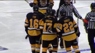 OHL Mississauga Steelheads vs Hamilton Bulldogs