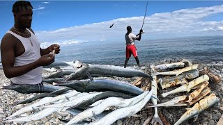 EARLY MORNING HANDLINE FISHING TURN INTO A LOVELY CATCH AND COOK HUNDREDS OF FISH COME TO SHORE