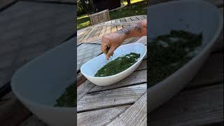 Garden Parsley #treehousegardenkimberly #garden  #dehydrating #youtubeshorts @ExcaliburDehydrators