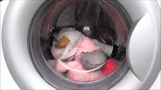 Two toys in washing machine LG Delicate program / Стиральная машина LG \