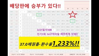 *1,233%-37.0배* “배당판에 승부가 있다” (간다..안간다..언더슈팅..오버슈팅..배당가치..베팅가치..이게 진짜다! 빤때기 타짜!)  [3월셋째주경마-실전경마노하우]