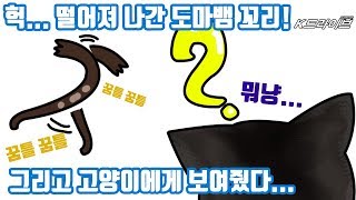 잘린 도마뱀꼬리를 고양이에게 주면?