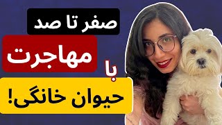 مراحل خروج حیوانات خانگی از کشور! | مهاجرت به آلمان