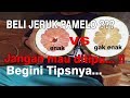 Cara Memilih Jeruk Pamelo yang Manis / how to choose sweet Pamelo