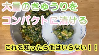 大量のきゅうりをコンパクトに漬ける「きゅうりの雄ちゃん漬け」これを知ったら、もう他はいらない！！