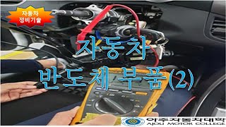 자동차 반도체 부품 (2)