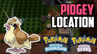 How to Catch Pidgey - Pokémon Brilliant Diamond \u0026 Shining Pearl