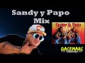 SANDY Y PAPO MIX | HOMENAJE| Huelepega, Es Hora de Bailar, Bueno pa Gozar, La Chica Sexy |🎧