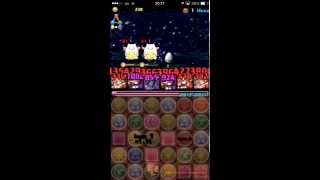 パズドラ　たまドラの秘境　覚醒ミネルヴァpt