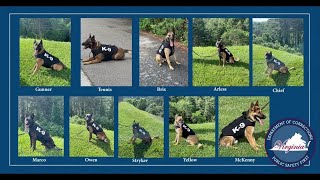 Ten VADOC K9s receive new gear