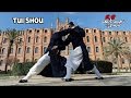 Wudang Tuishou 武当推手