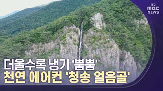 더울수록 냉기 뿜는 천연 에어컨 '청송 얼음골' | 대구MBC뉴스