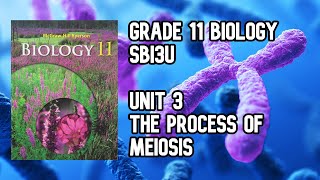 SBI3U - Unit 3 Genetics Class 1 The Process of Meiosis (Grade 11 Biology)