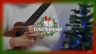 [우쿨렐레배우기]캐롤-Feliz Navidad/펠리스나비다/쉬운캐롤연주/악보공유