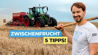 Unsere 5 Tipps 💡 für den Zwischenfruchtanbau 🌱