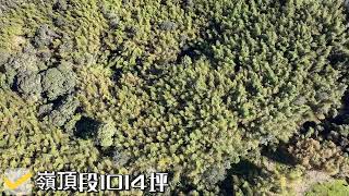 南投/竹山/南投竹嶺頂段/大鞍段近千坪農牧用地/永慶不動產北屯運動中心加盟店/大亨不動產