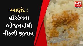 Anand :  વલ્લભ વિદ્યાનગરની રાણક હોસ્ટેલના ભોજનમાંથી ઈયળ અને મકોડા નીકળ્યા | Gujarati News